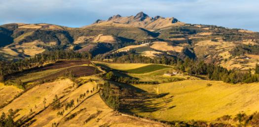 Andean Countries Trivia! How Much Do You Know?