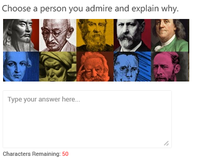 Essay