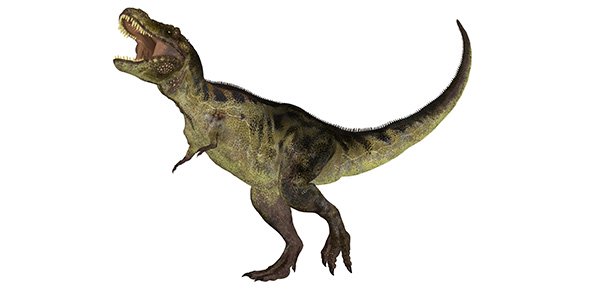 Dinosaur Quizzes, Dinosaur Trivia, Dinosaur Questions