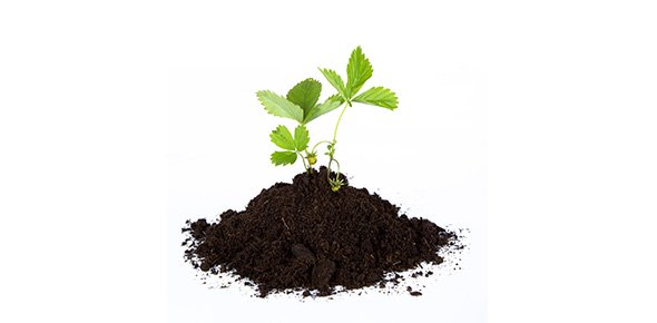 Agriculture Quizzes, Agriculture Trivia, Agriculture Questions