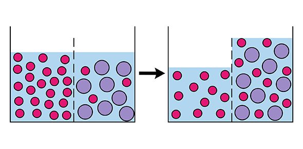 Osmosis Quizzes, Osmosis Trivia, Osmosis Questions