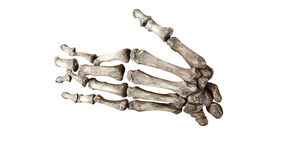 Bone Quizzes, Bone Trivia, Bone Questions