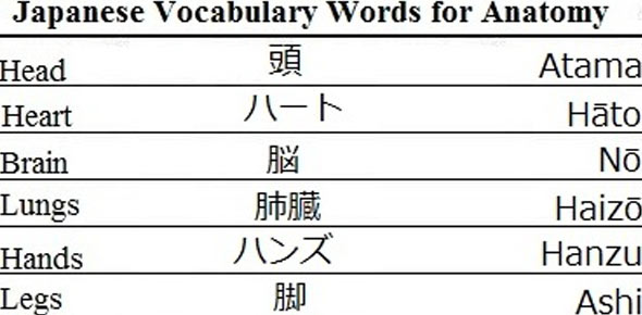 Japanese Vocab Quizzes, Japanese vocab Trivia, Japanese vocab Questions