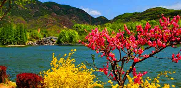 Kashmir Quizzes, Kashmir Trivia, Kashmir Questions