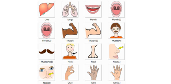 Body Parts Quizzes, Body parts Trivia, Body parts Questions