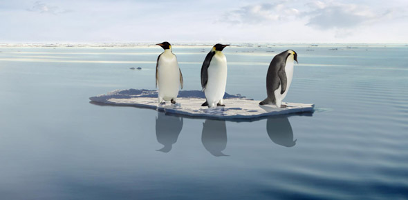 Global Warming Quizzes, Global warming Trivia, Global warming Questions
