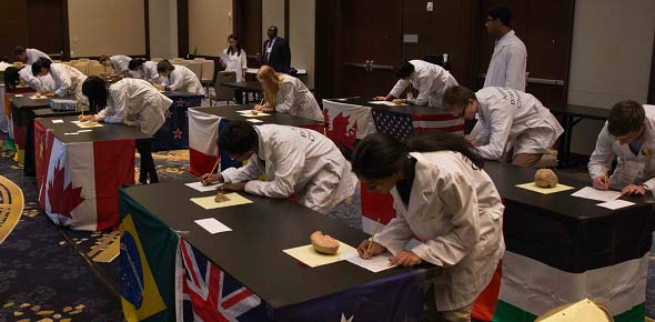 International Brain Bee Quizzes, International brain bee Trivia, International brain bee Questions