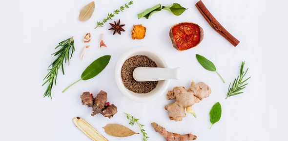 Clinical Nutrition Quizzes, Clinical nutrition Trivia, Clinical nutrition Questions