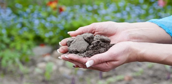 Soil Quizzes, Soil Trivia, Soil Questions