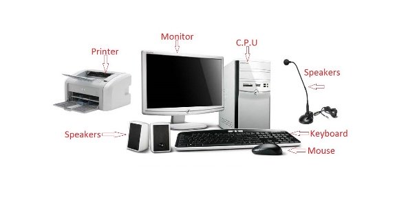 Computer Parts Quizzes, Computer parts Trivia, Computer parts Questions