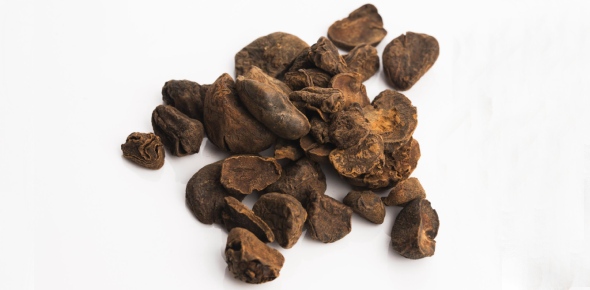 Kola Nut Quizzes, Kola nut Trivia, Kola nut Questions