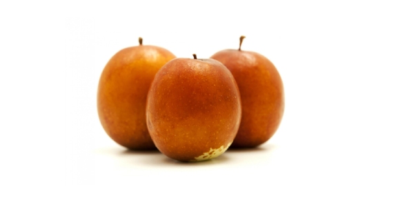 Jujube Quizzes, Jujube Trivia, Jujube Questions