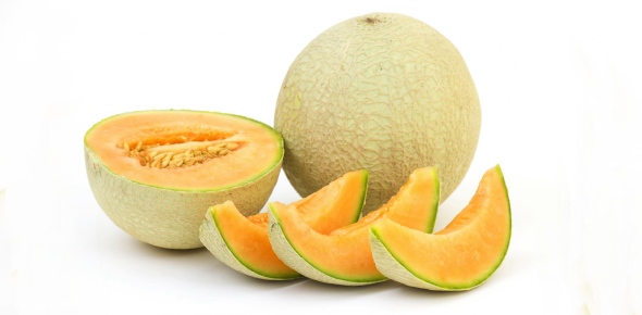 Melon Quizzes, Melon Trivia, Melon Questions
