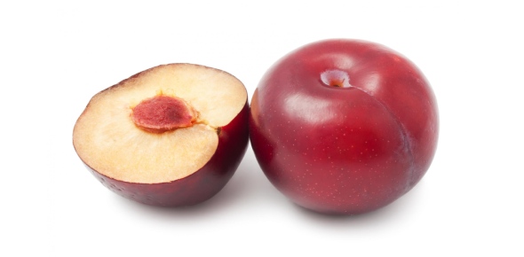 Plum Quizzes, Plum Trivia, Plum Questions