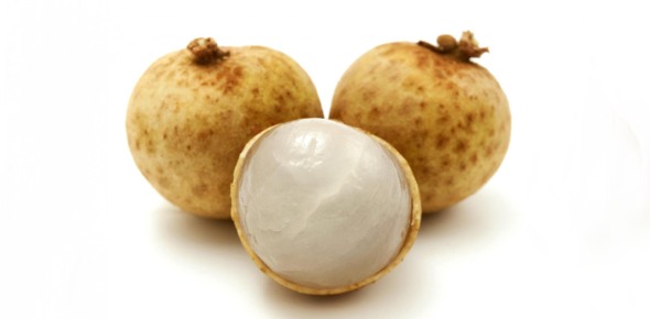 Longan Quizzes, Longan Trivia, Longan Questions