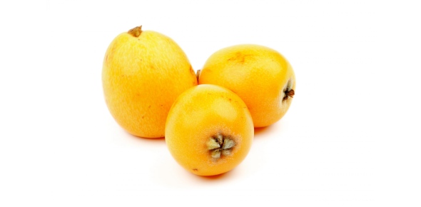 Loquat Quizzes, Loquat Trivia, Loquat Questions