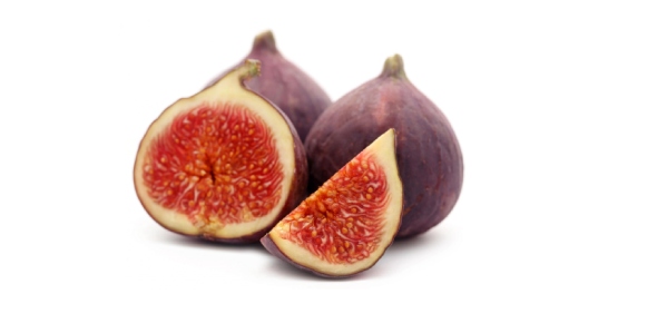 Common Fig Quizzes, Common fig Trivia, Common fig Questions