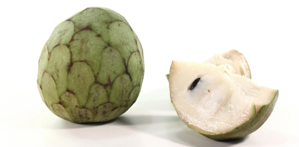 Cherimoya Quizzes, Cherimoya Trivia, Cherimoya Questions