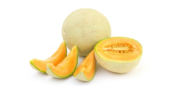 Cantaloupe Quizzes, Cantaloupe Trivia, Cantaloupe Questions