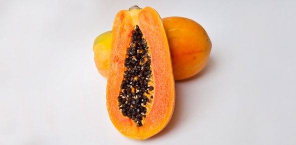 Papaya Quizzes, Papaya Trivia, Papaya Questions