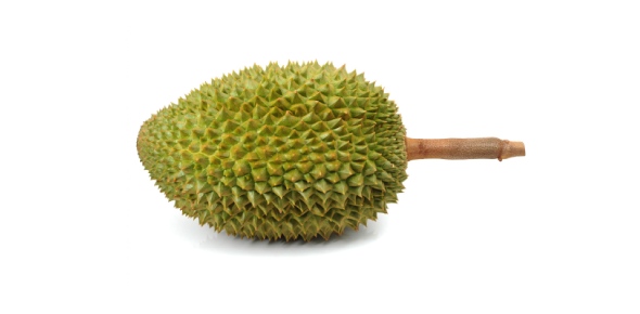 Durian Quizzes, Durian Trivia, Durian Questions