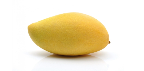 Mango Quizzes, Mango Trivia, Mango Questions