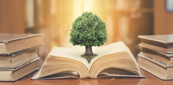 Philosophy Of Education Quizzes, Philosophy of education Trivia, Philosophy of education Questions