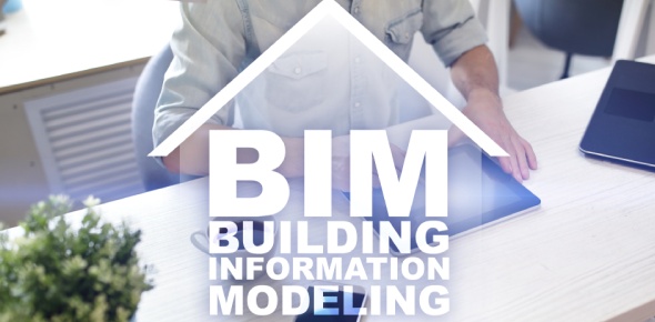 BIM Quizzes, Bim Trivia, Bim Questions