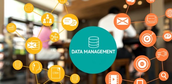 Data Management Quizzes, Data management Trivia, Data management Questions