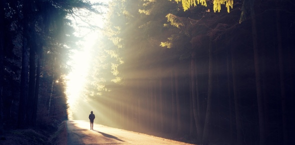Nature Of Light Quizzes, Nature of light Trivia, Nature of light Questions