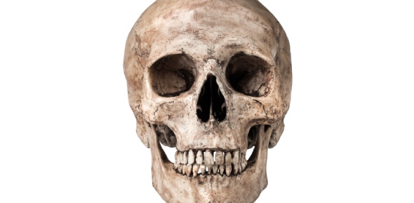 Skull Quizzes, Skull Trivia, Skull Questions