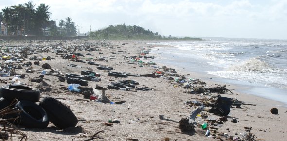 Pollution Quizzes, Pollution Trivia, Pollution Questions
